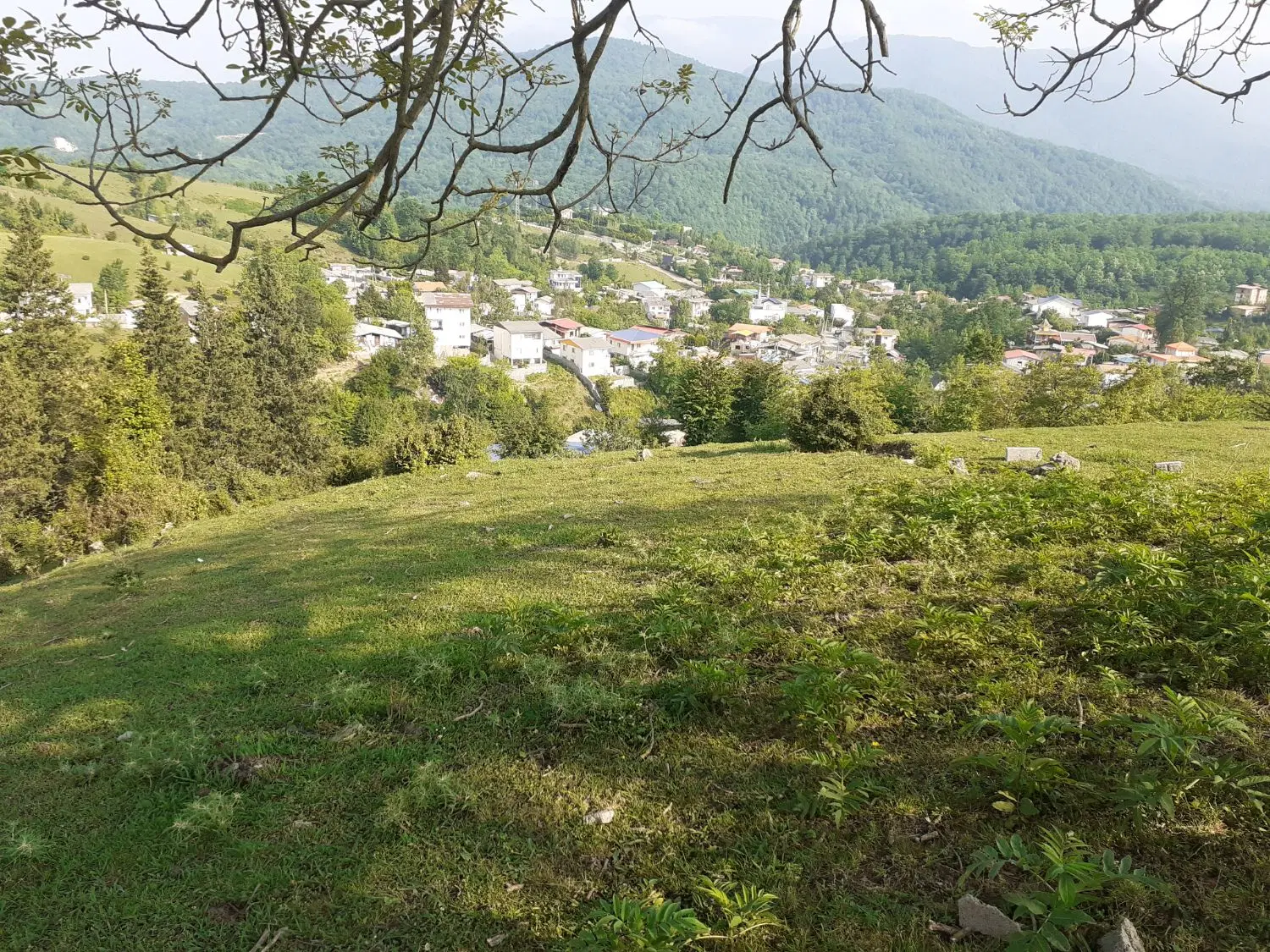 زمین