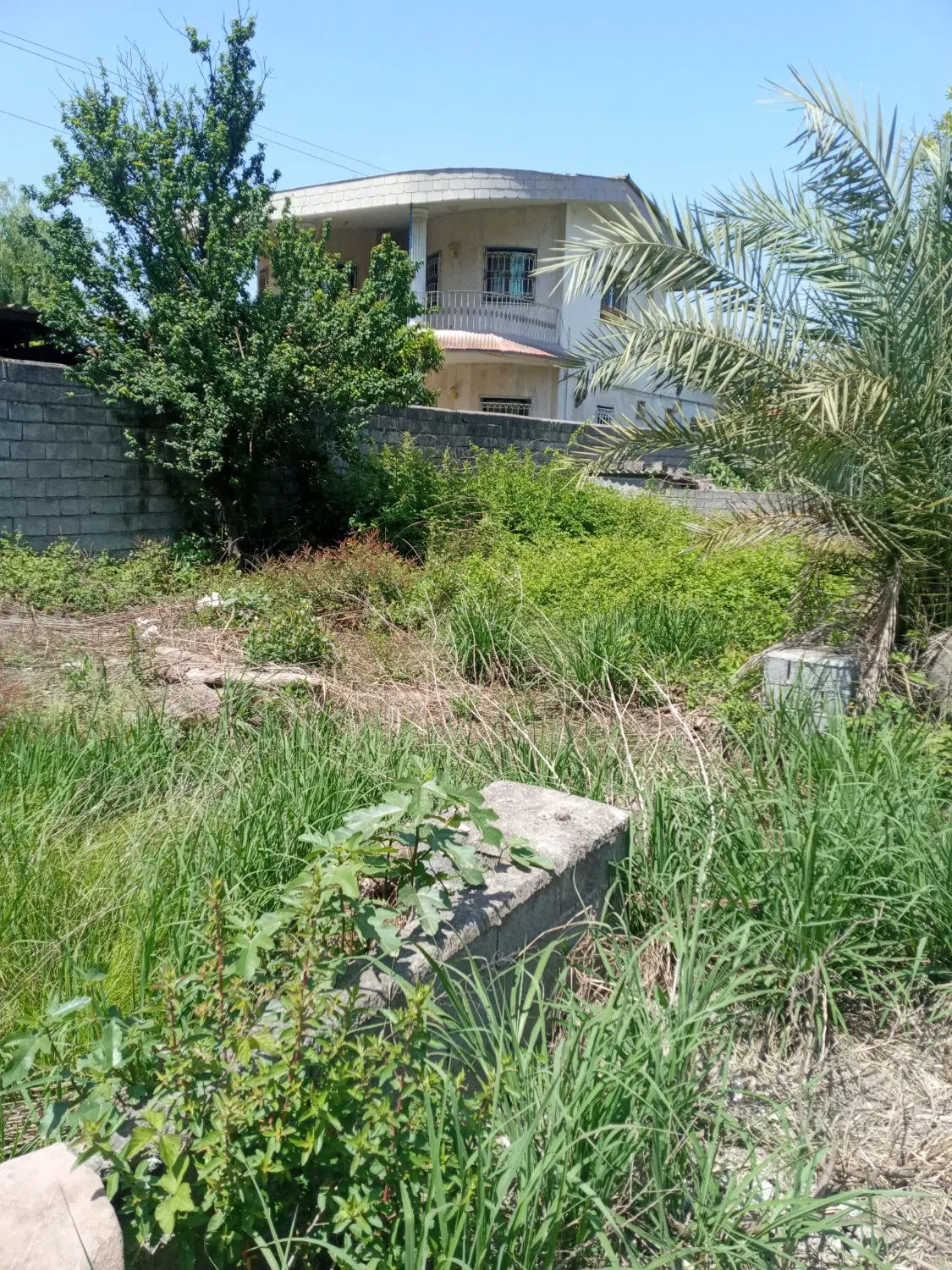 زمین ب مساحت ۱۸۶ متر