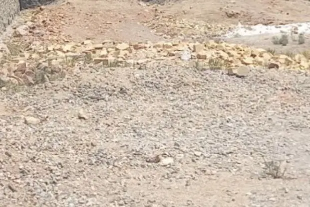زمین