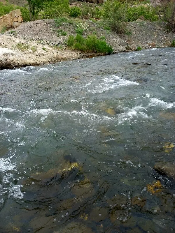 فروش باغ روستای آبقد گلبهار