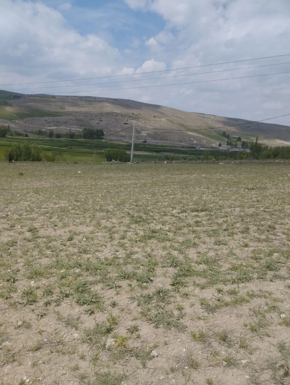 زمین برای باغ در روستای الماس