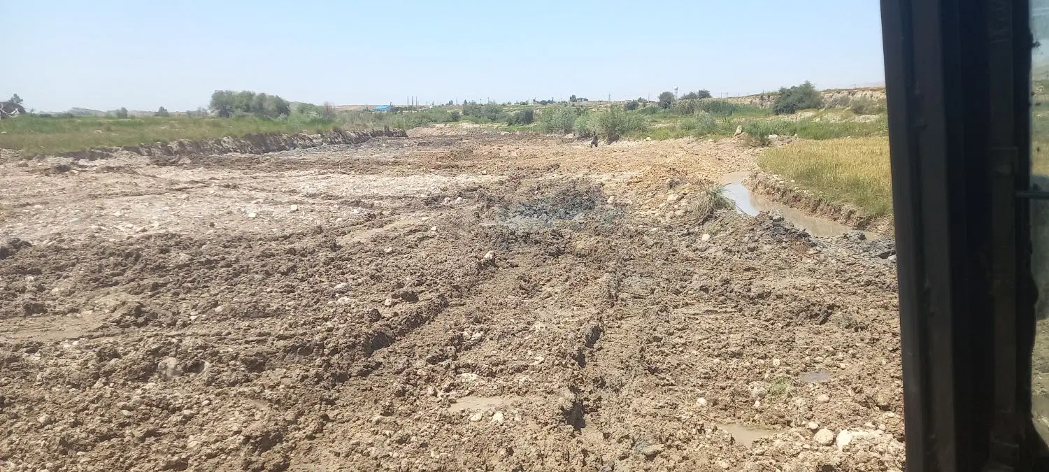 از ۱۰۰۰متر تایک هکتارزمین برنجکاری خیرآباد