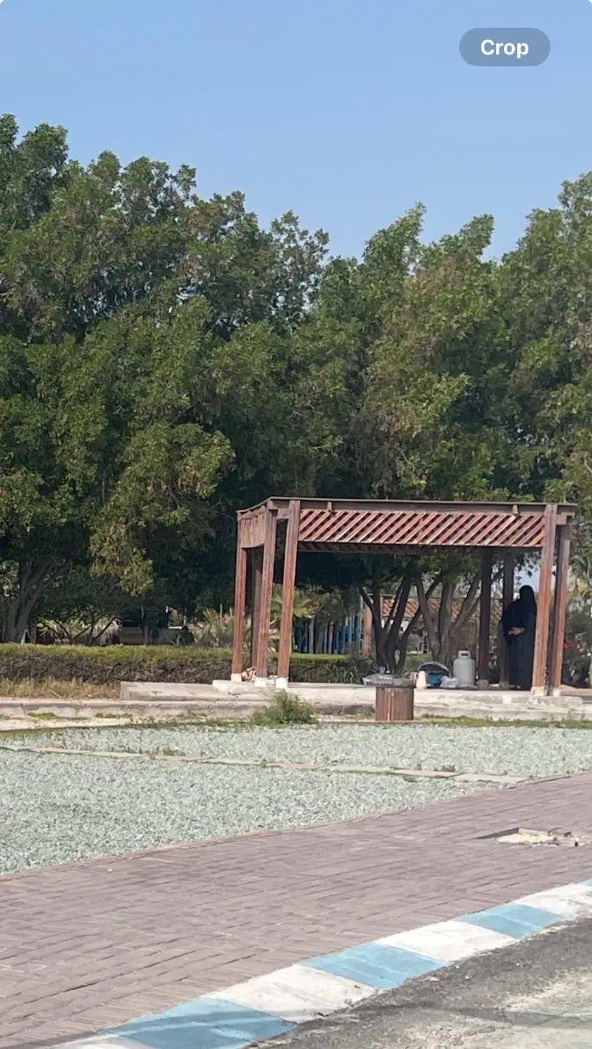 زمین مسکونی امیرآباد پهنا۱۲
