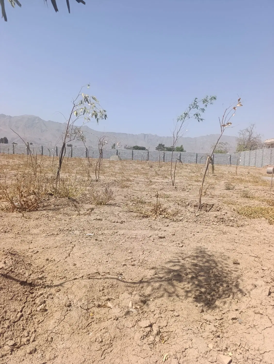 پلاک زمین مجموعه باغی