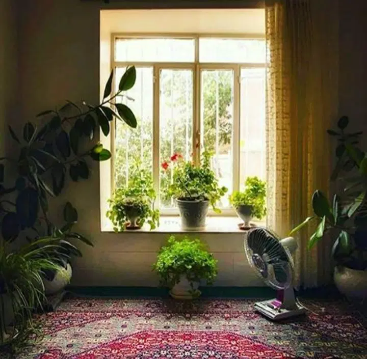 خانه کلنگی