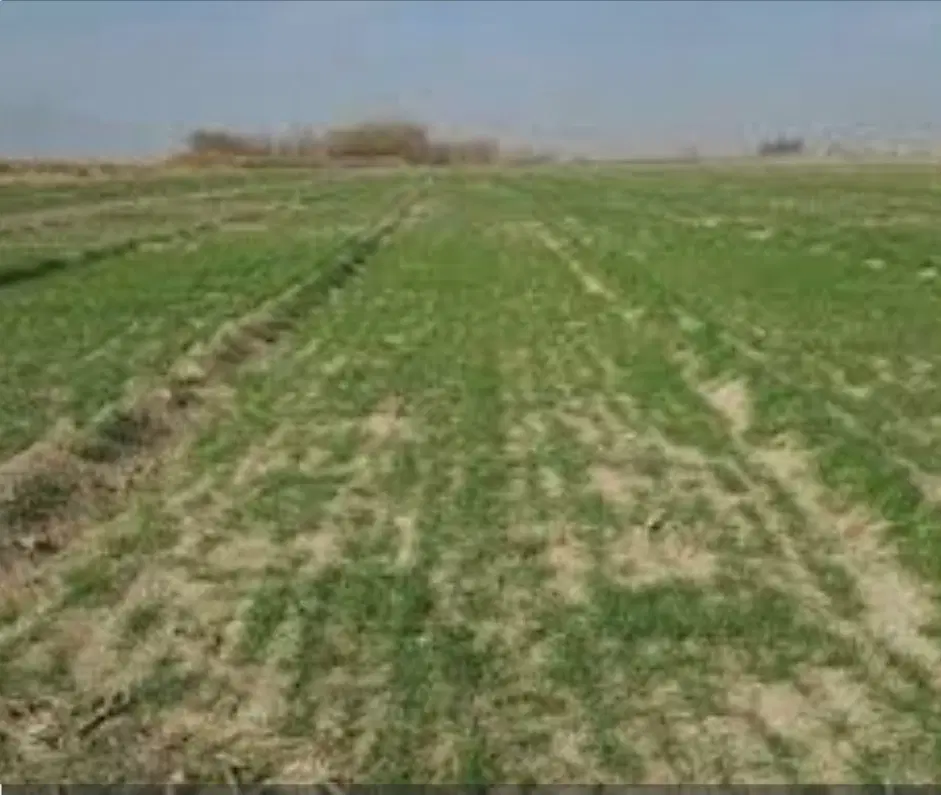 زمین فروشی