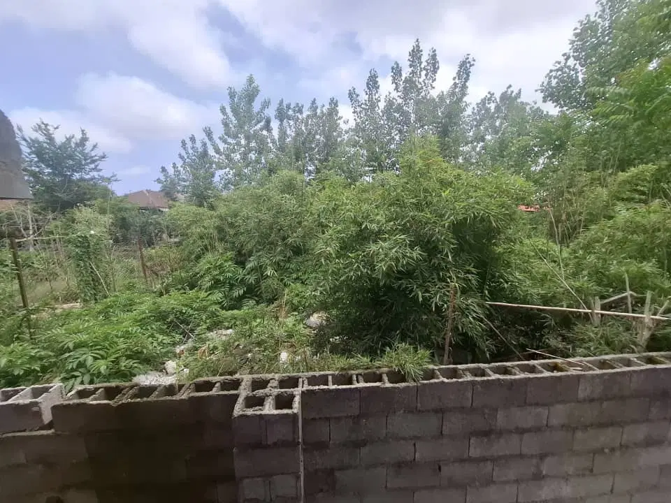 پستک ک ۲۸ زمین دوبر ۹۷متری سندتک برگ