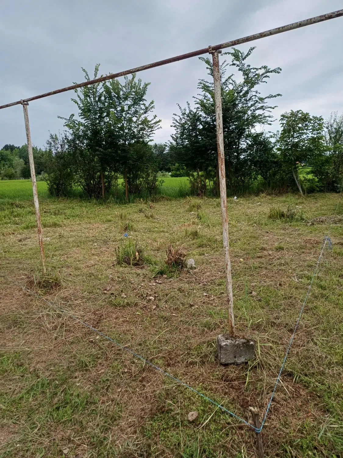 زمین مسکونی واقع در شهرستان لاهیجان روستای لفمجان