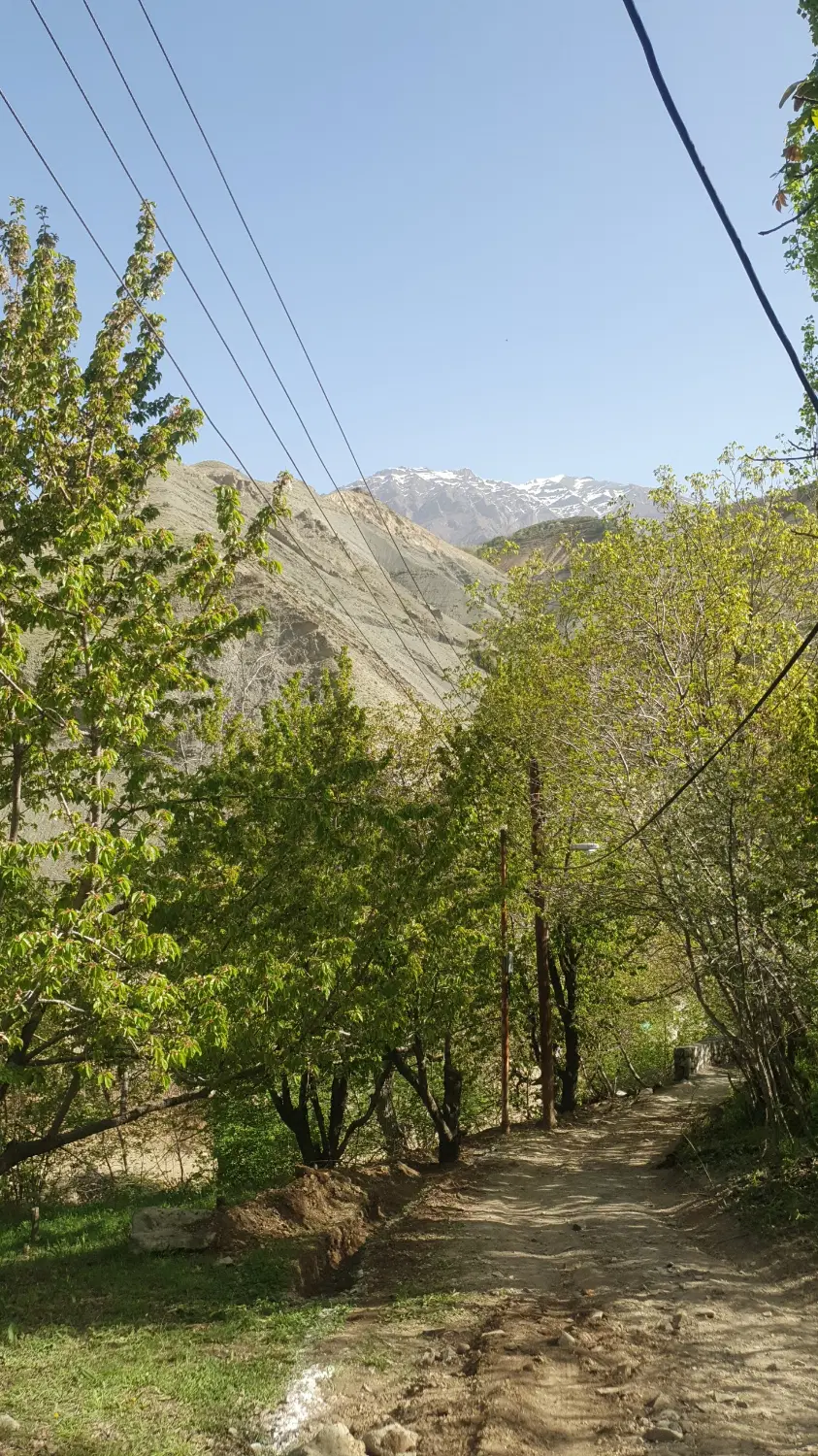 باغچه بمساحت ۴۱۱ متر مربع لواسان کوچک ناصرآباد