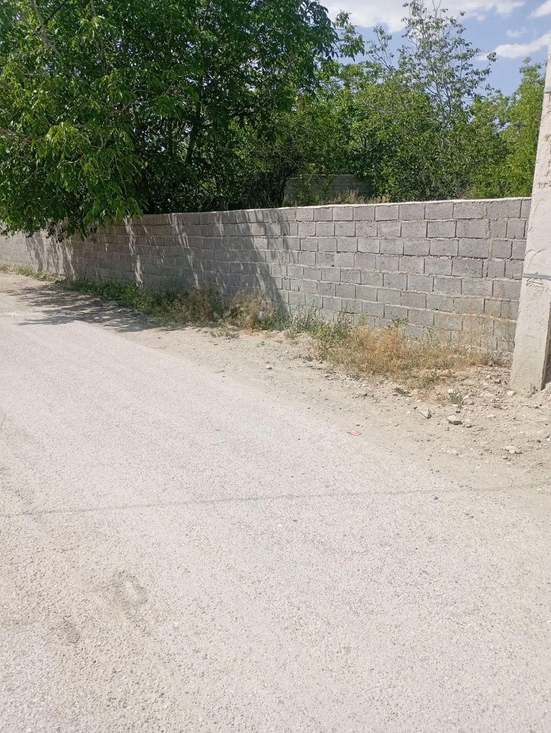 فروش زمین 223متری لب خیابان روستای خبر
