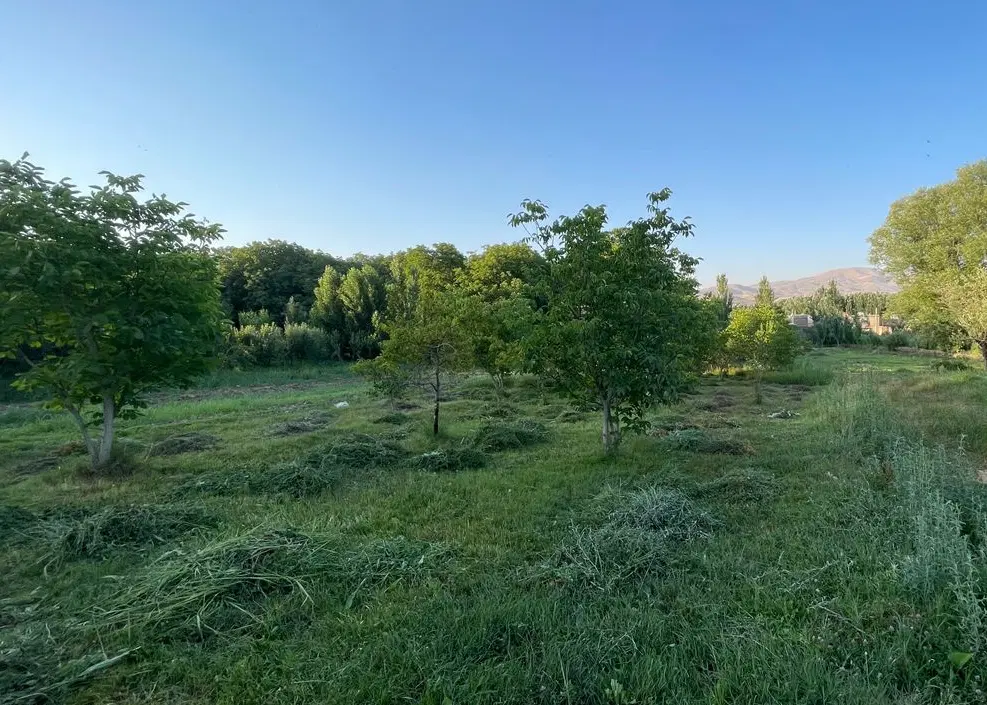 باغ و زمین برای ساخت ویلا