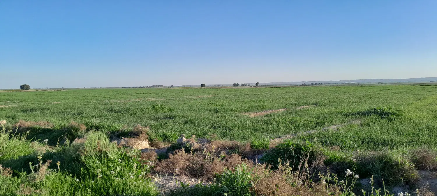 فروش زمین