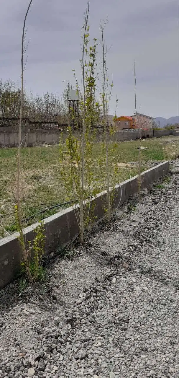 زمین شهرکی