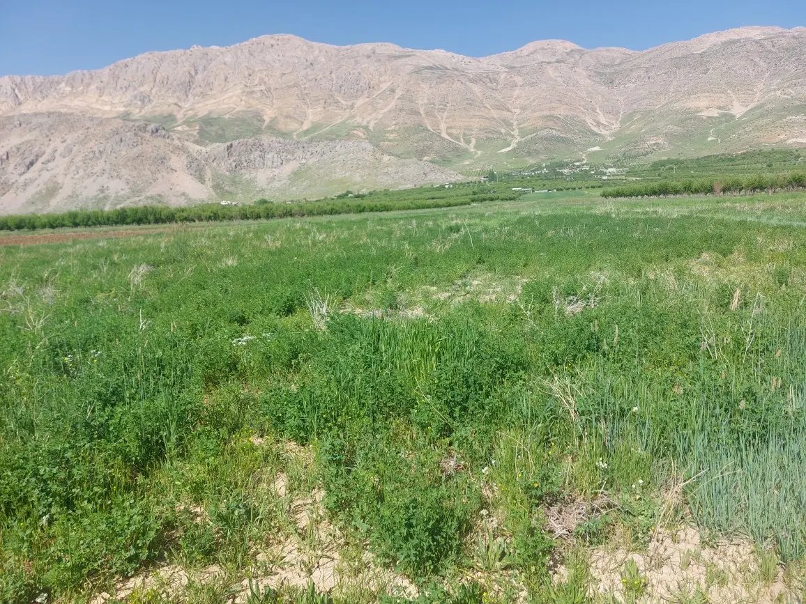 فروش زمین امامت