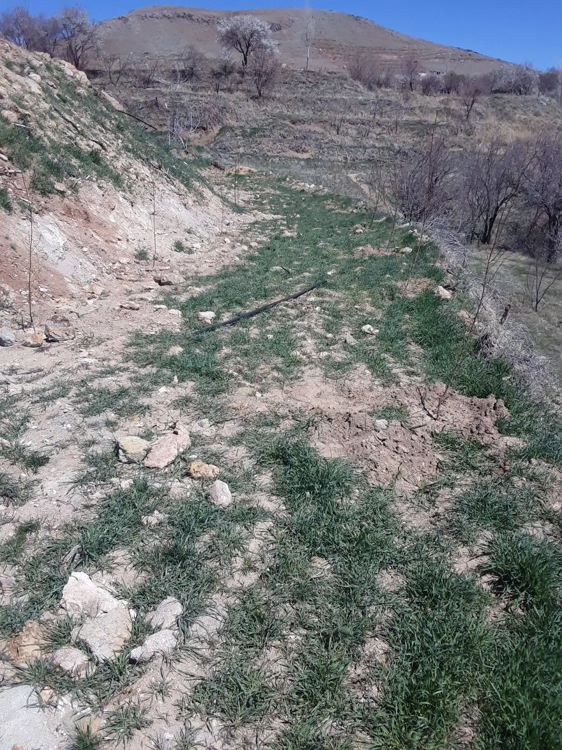 هزارمترزمین درروستای توریستی اردبیلک بفروش میرسد