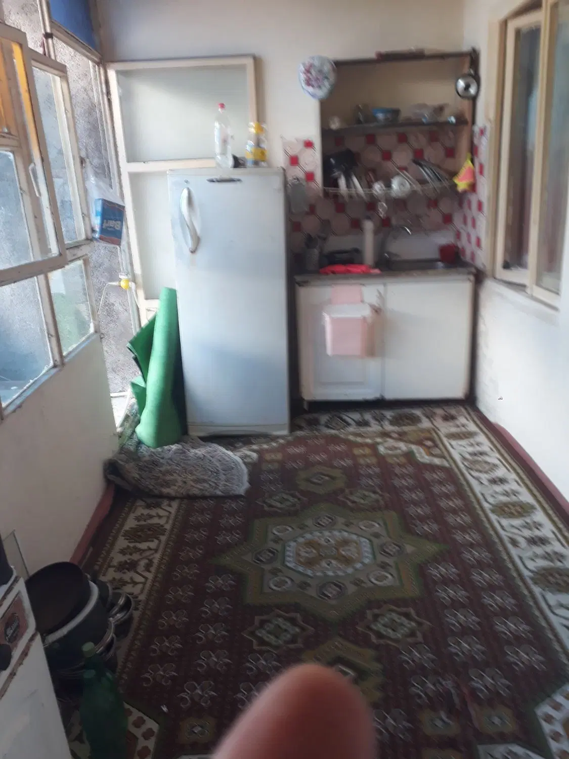 همخونه با یک خانم مسن