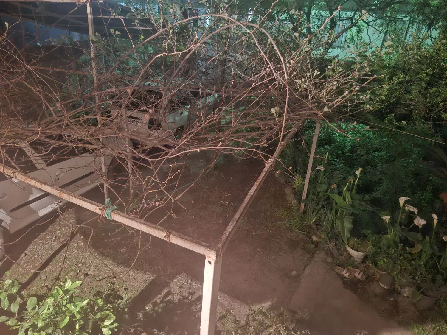 ملک تجاری مسکونی ۳۶۲ متر کمربندی