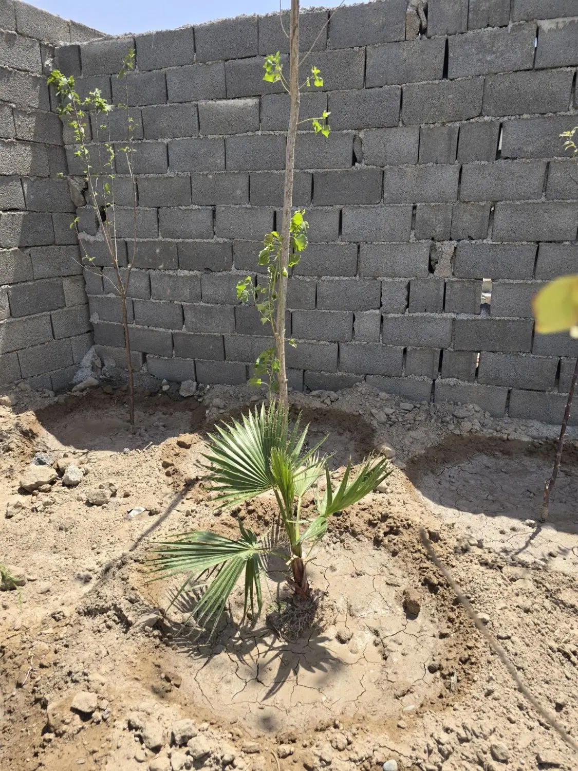 قواره۱۸۰ متری_سنددار