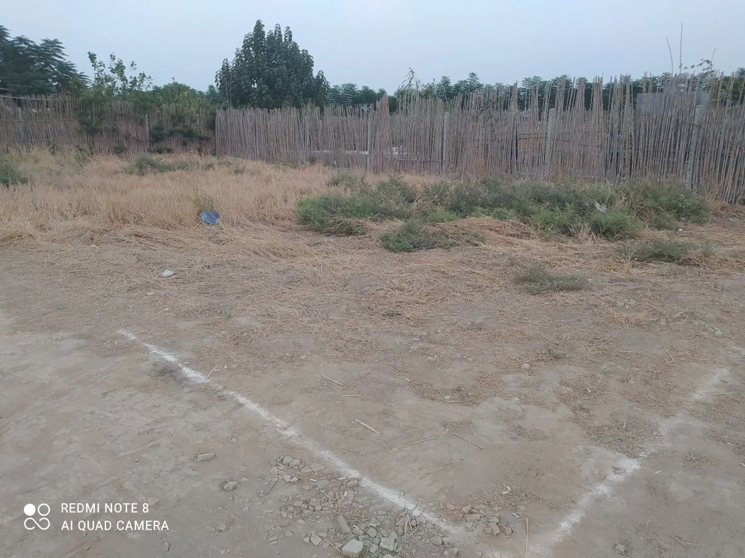 زمین در روستای کریم اباد