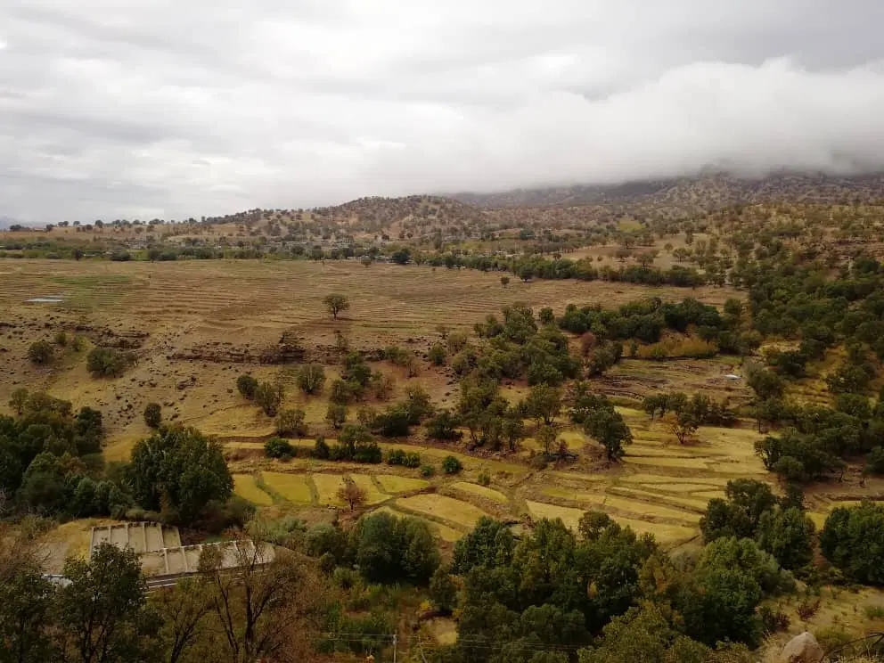 زمین کشاورزی روستای کریک
