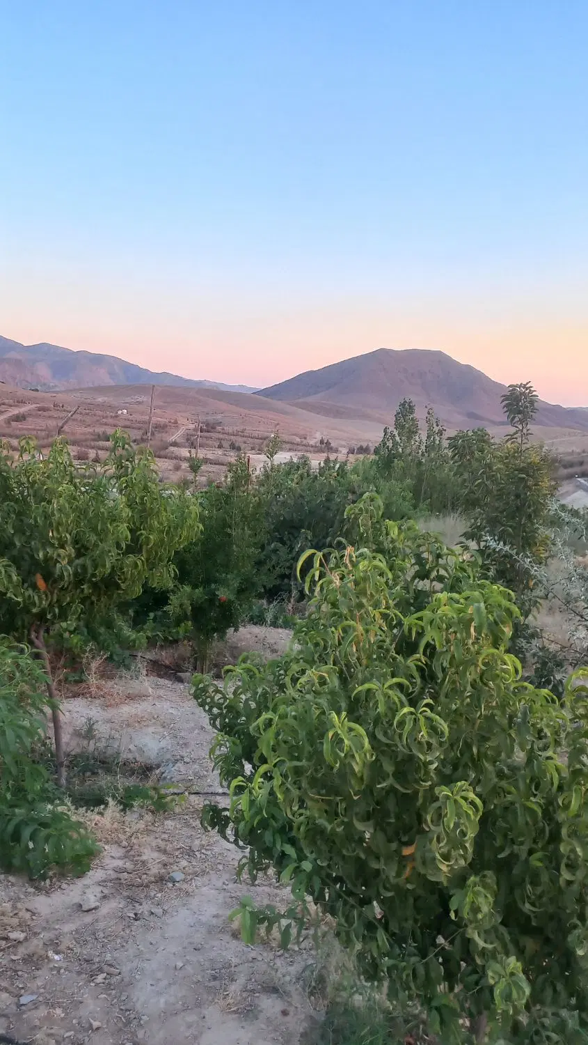 باغچه ۵۷۰ متری شهرک تماشا کرشت