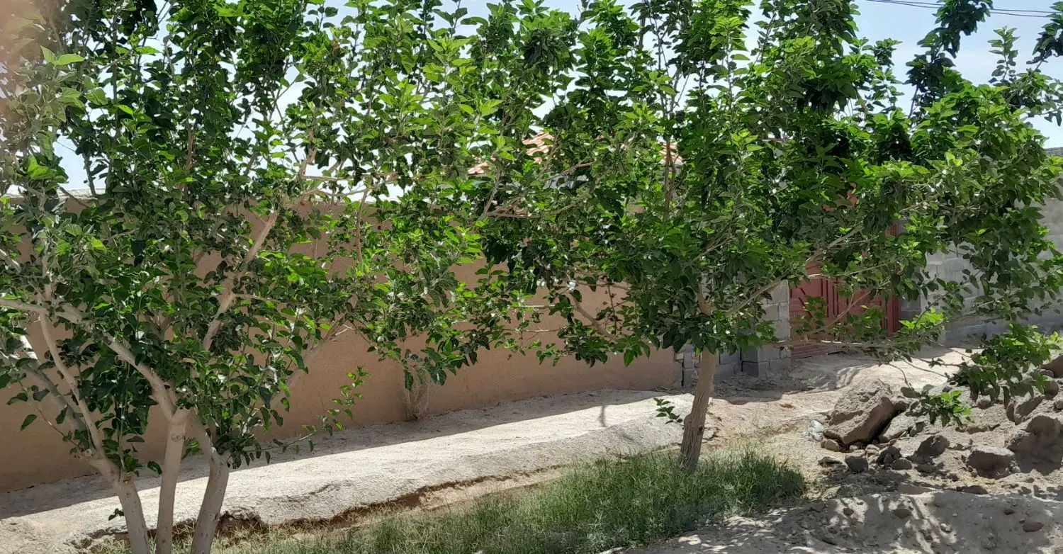 خانه باغ فهرج