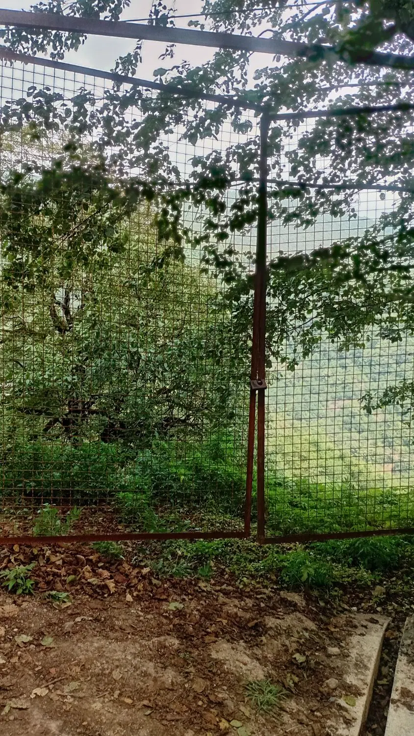 زمین ویلایی گیلده