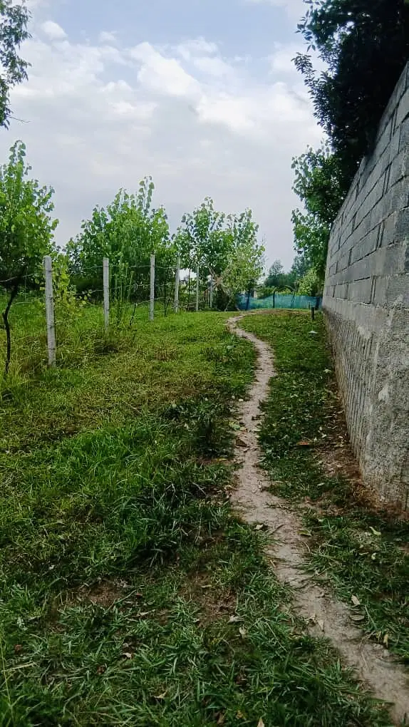 زمین مسکونی