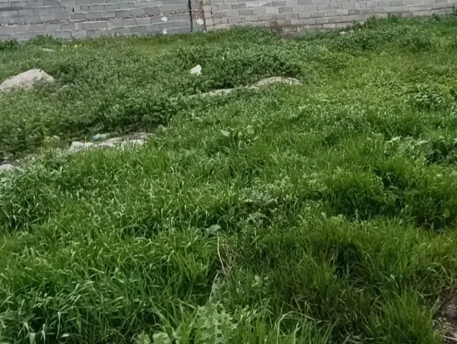 زمین تجاری مسکونی خیابان شهریار