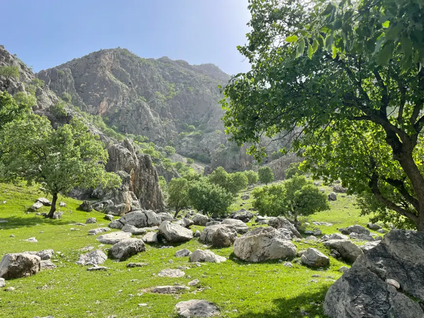 فروش زمین مسکونی