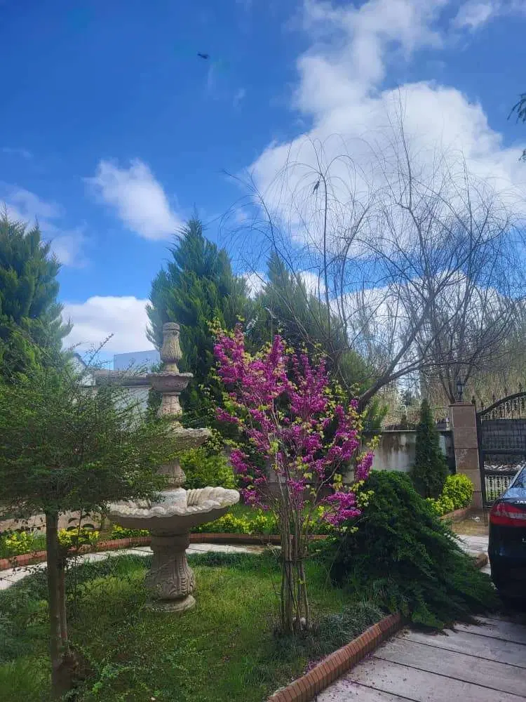 ویلای ۴۰۰ متری سرخرود