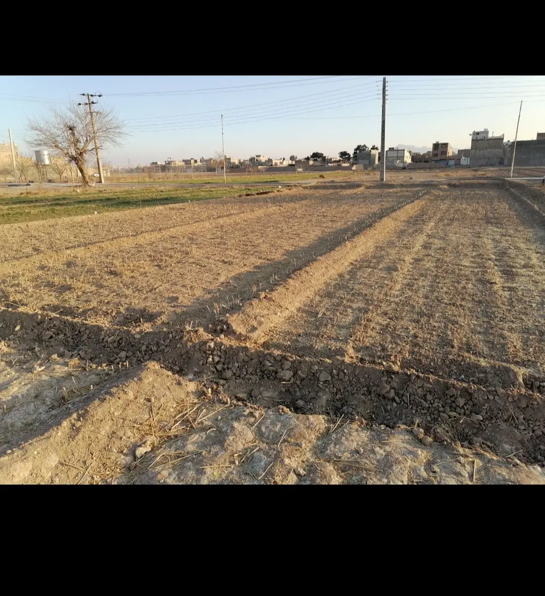 زمین کشاورزی