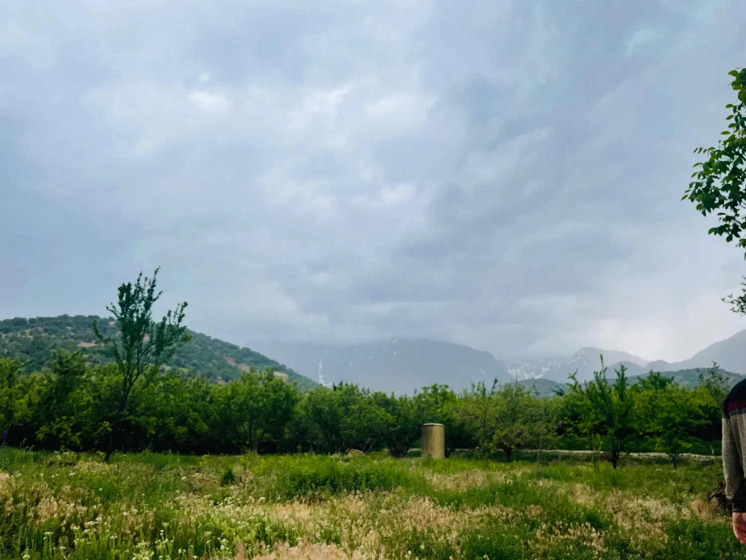 باغ سیب کوخدان