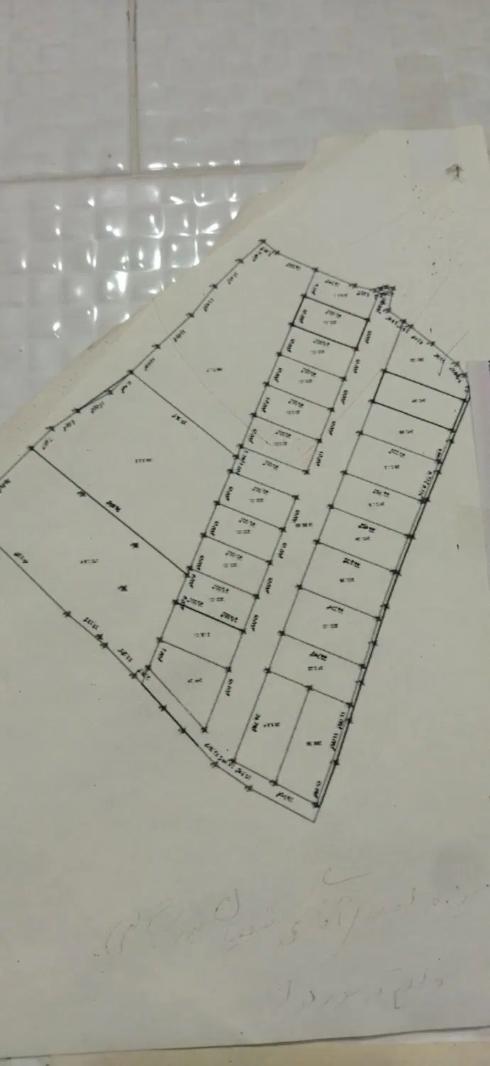 زمین موردراز وسطی