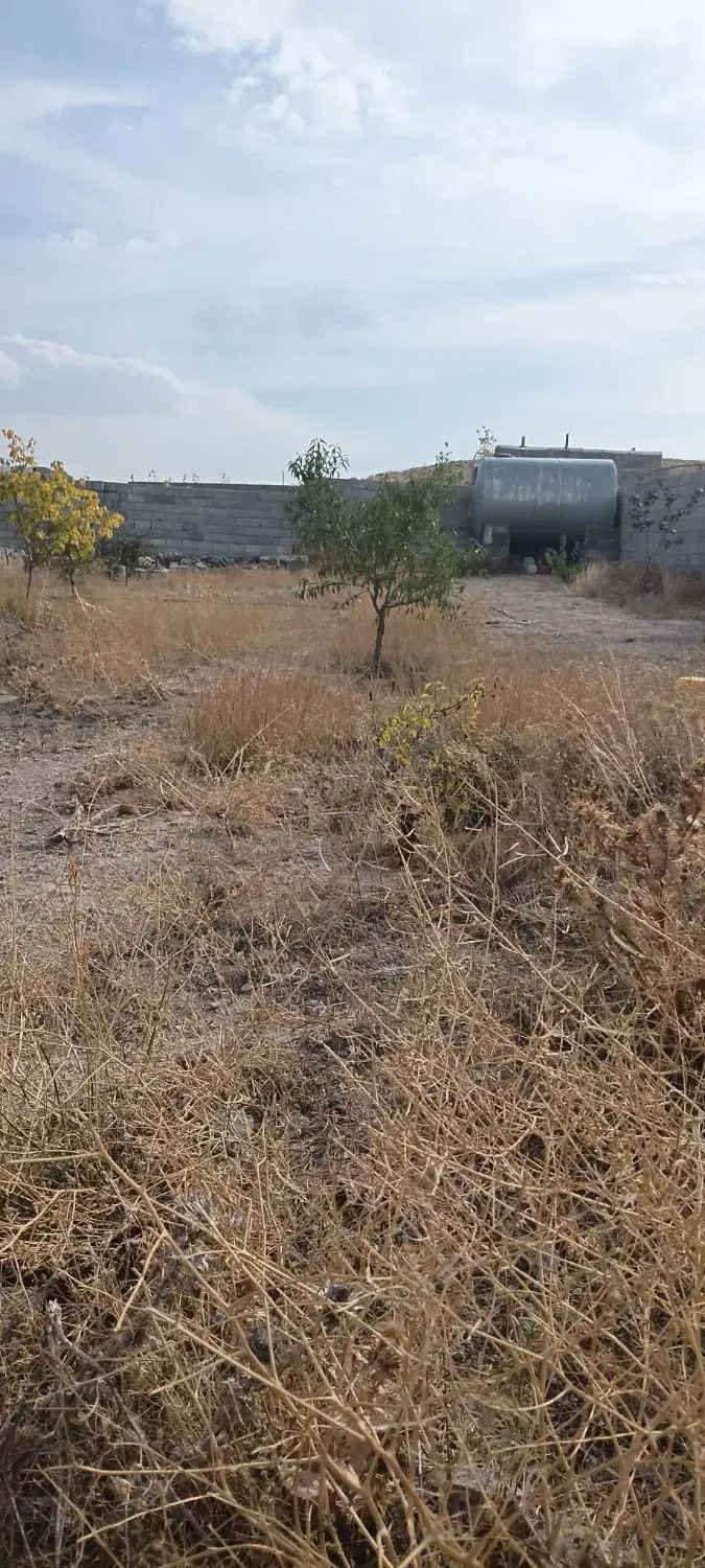 باغ