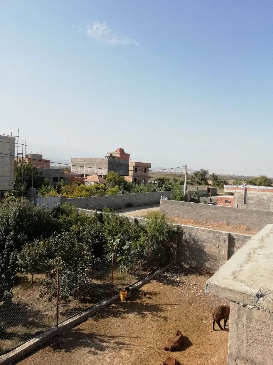 زمین مسکونی ۳۲۰ متر