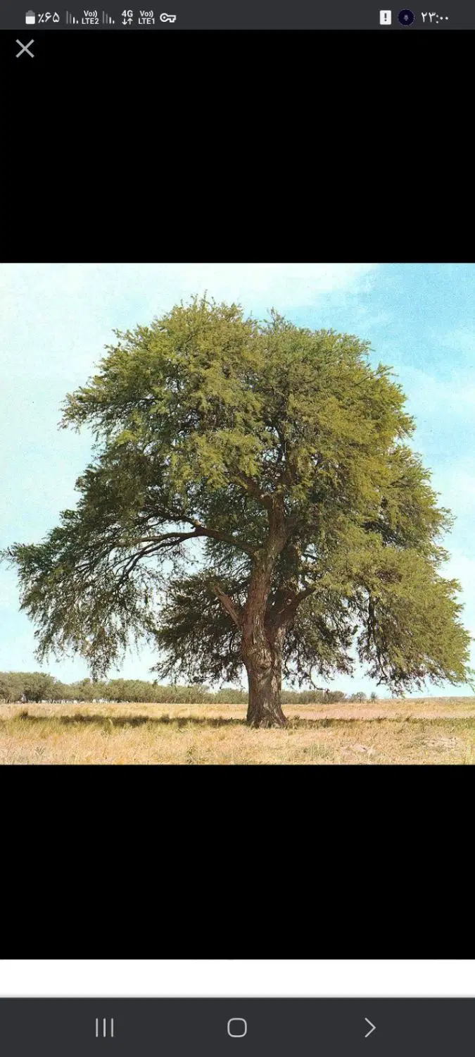 زمین لب جاده