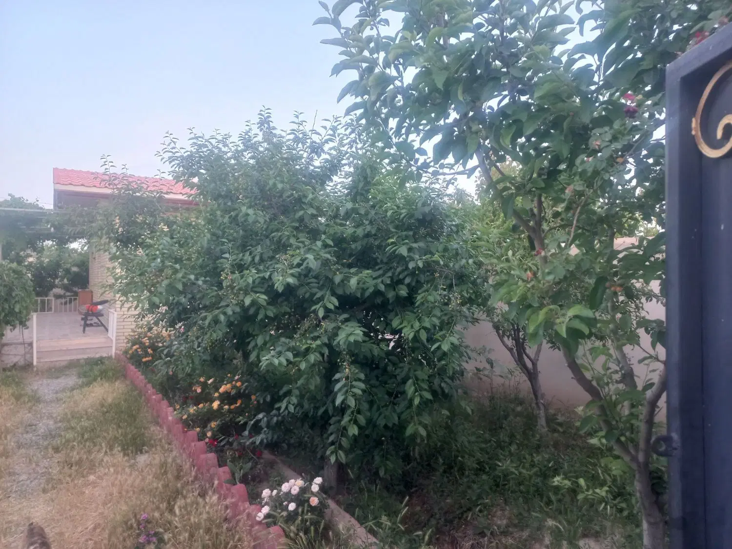 ۳۶۵مترباغچه.داخل بافت صفادشت