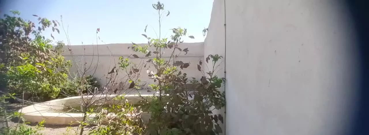 باغچه
