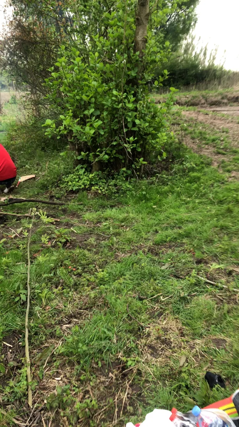 فروش فوری زمین درروستای ملاسرا