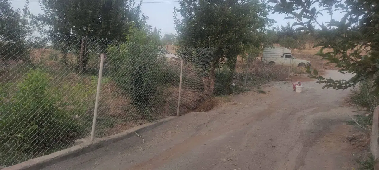 باغ حیدره بالاشهر