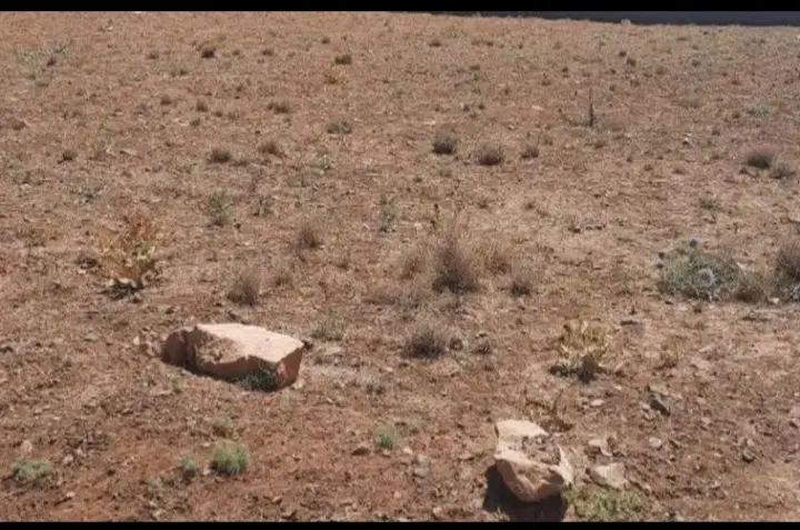 زمین فروشی