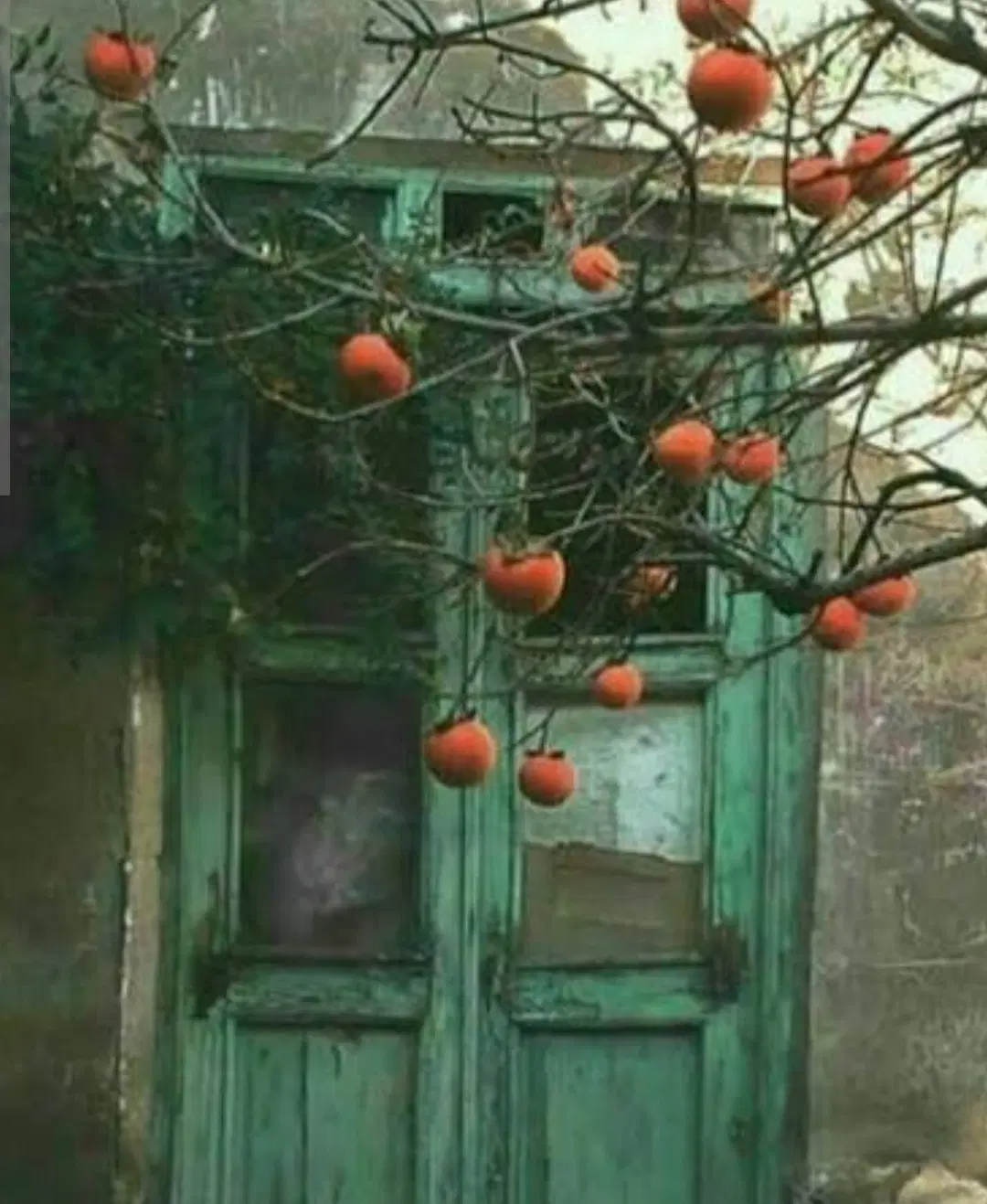 منزل مسکونی کنارتخته