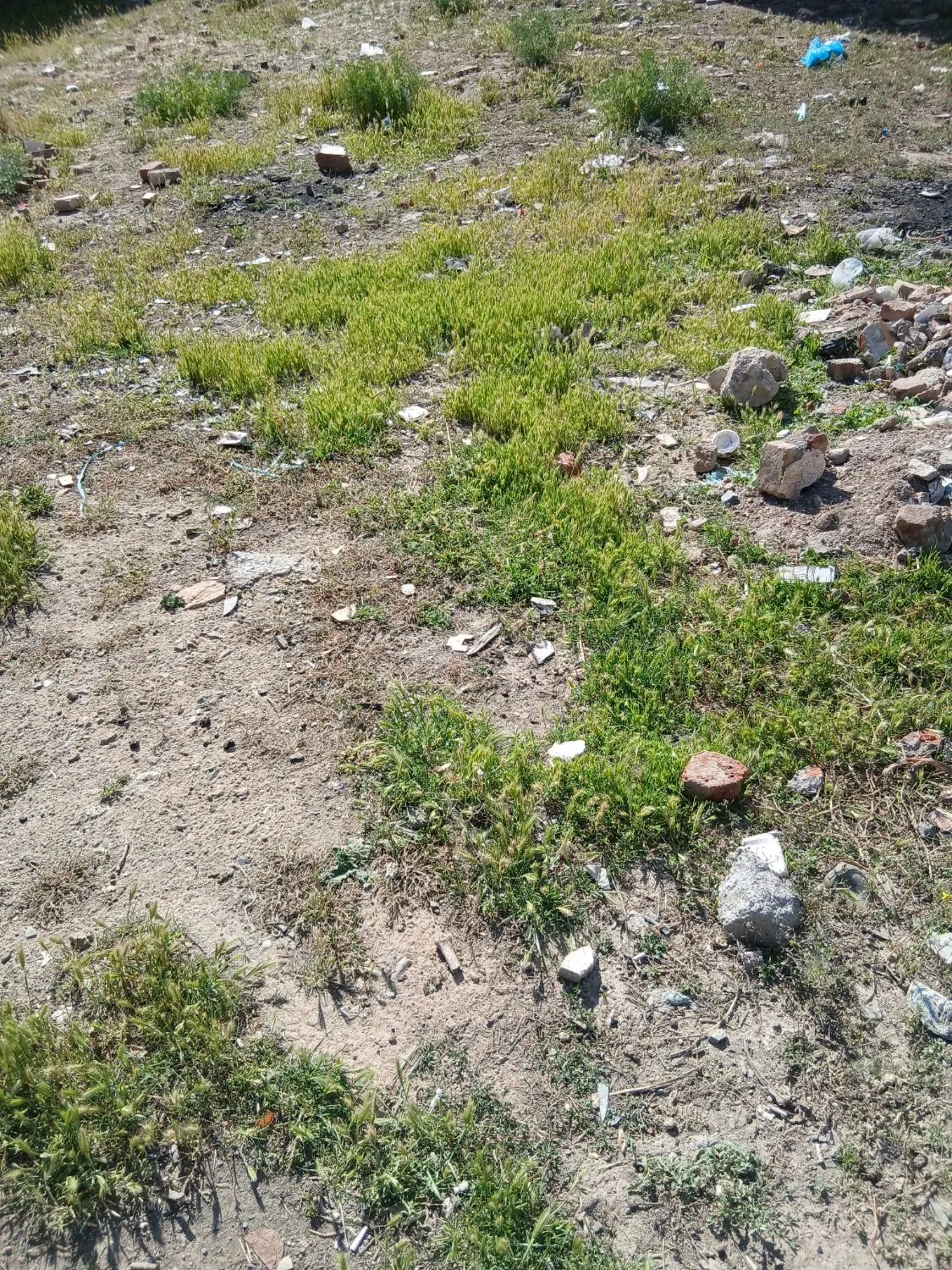زمین مزروعی