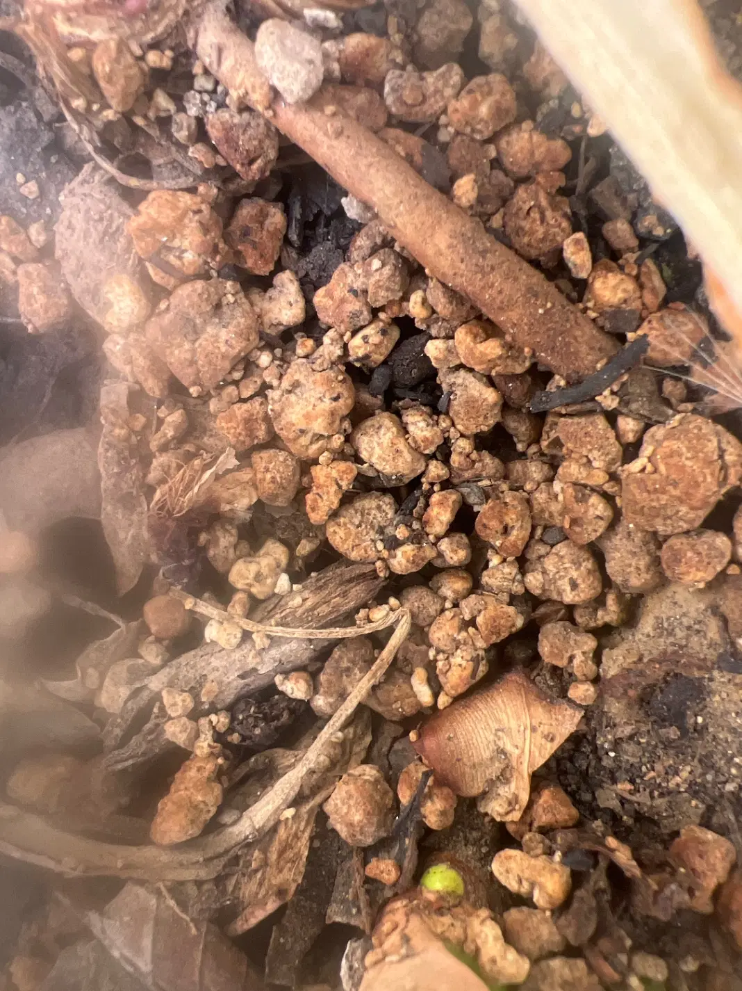 زمین مسکونی گوندره