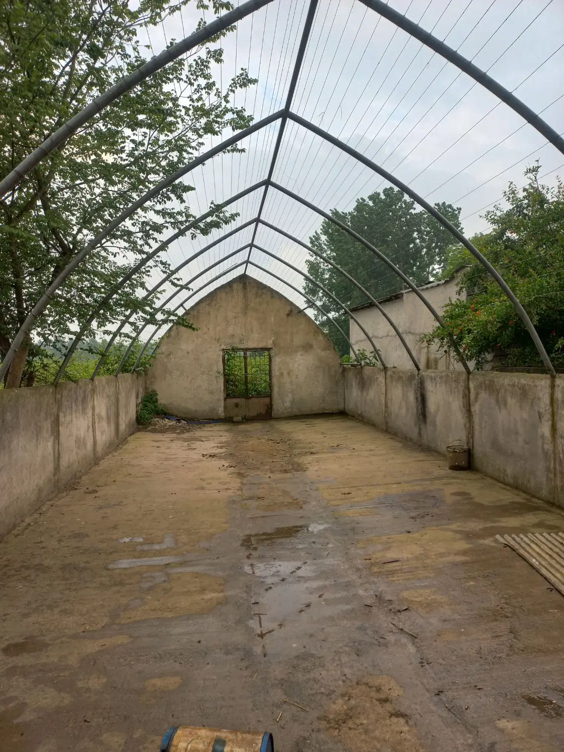 ملک. تجاری