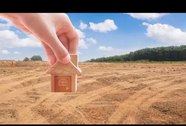 زمین دانشگاه ۲۰