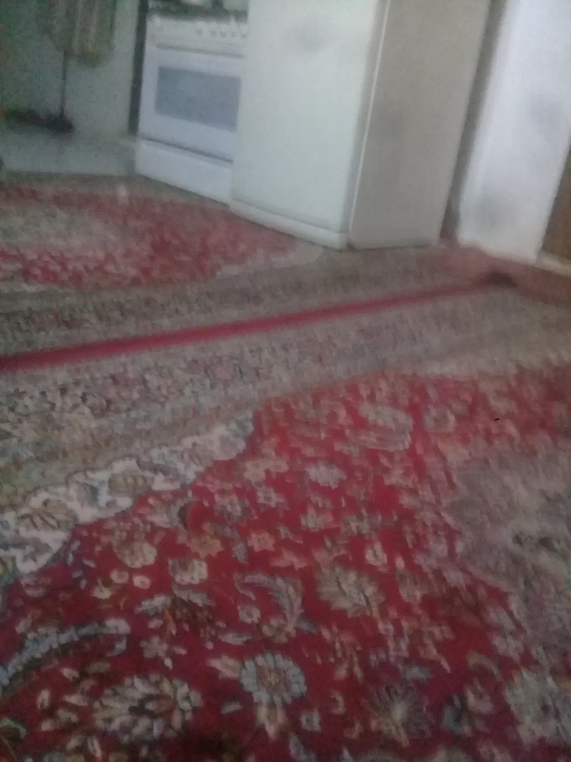 هم خانه خانوم احتیاج دارم سن ۲۰تا۴۰سال