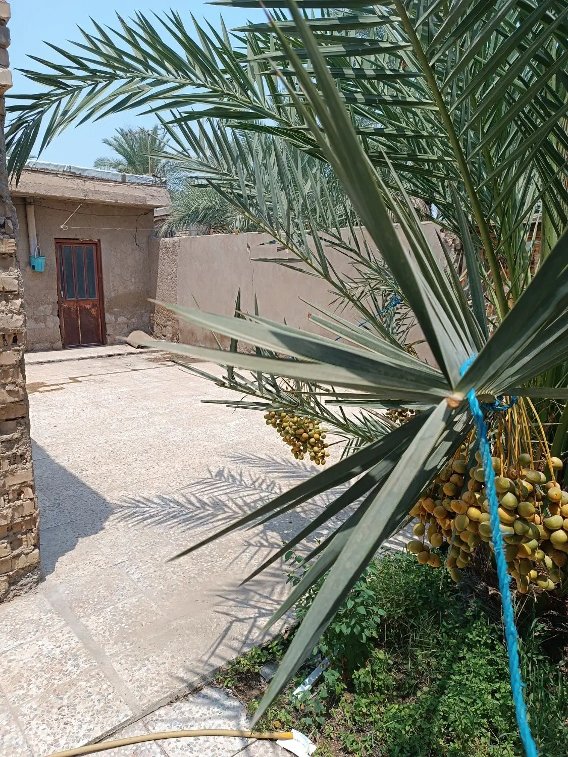 فروش خانه ومغازه وباغ جزیره مینو