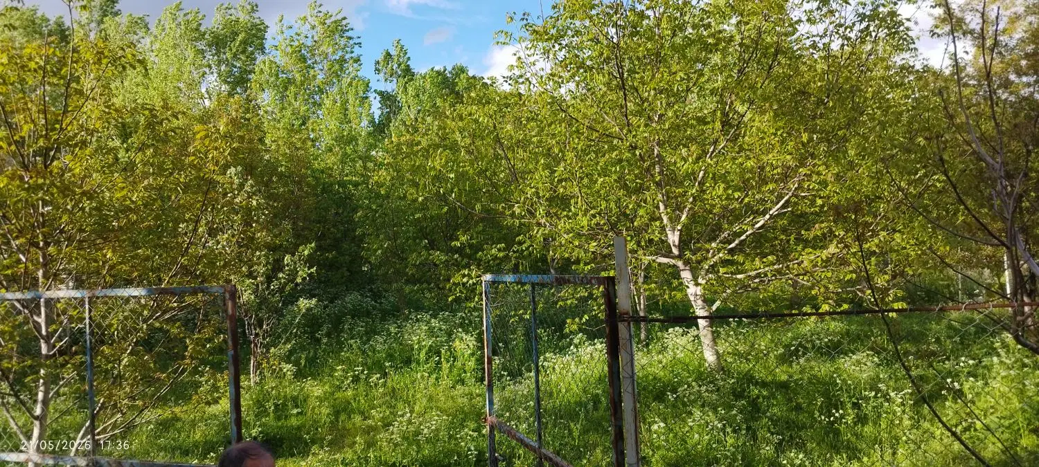 زمین باغ و ویلایی